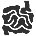 digestive system-min